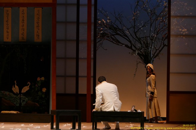 Madama BUTTERFLY Teatro Coccia Novara