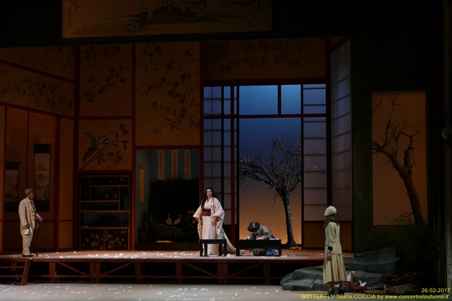 Madama BUTTERFLY Teatro Coccia Novara