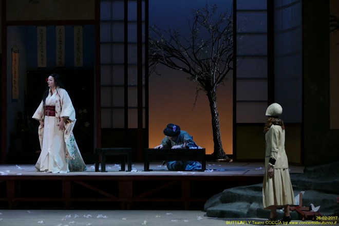 Madama BUTTERFLY Teatro Coccia Novara