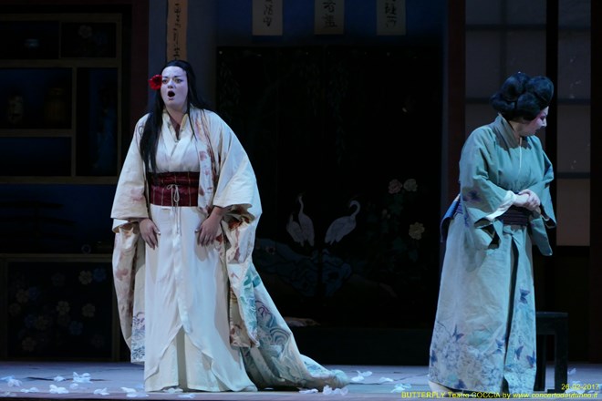 Madama BUTTERFLY Teatro Coccia Novara