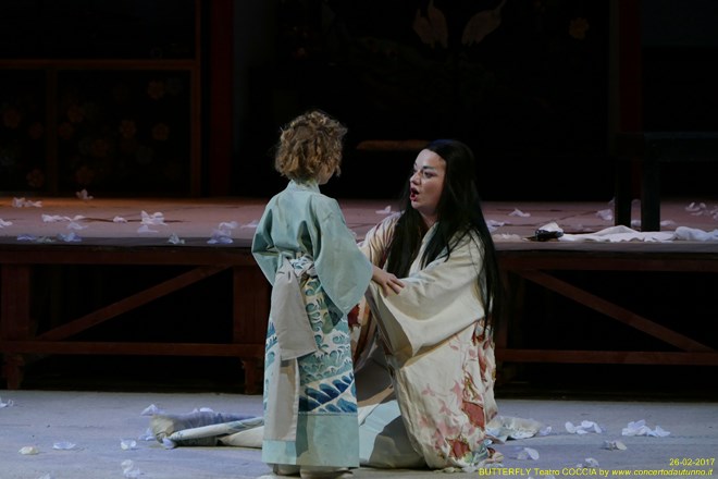 Madama BUTTERFLY Teatro Coccia Novara