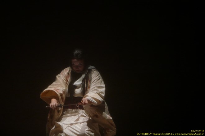 Madama BUTTERFLY Teatro Coccia Novara