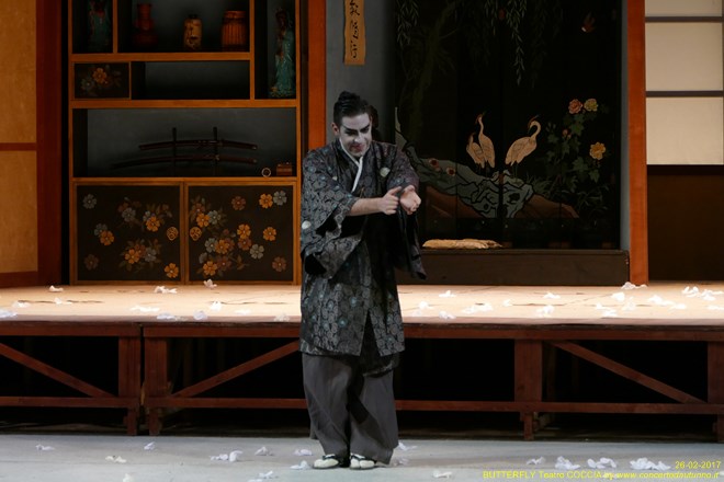 Madama BUTTERFLY Teatro Coccia Novara