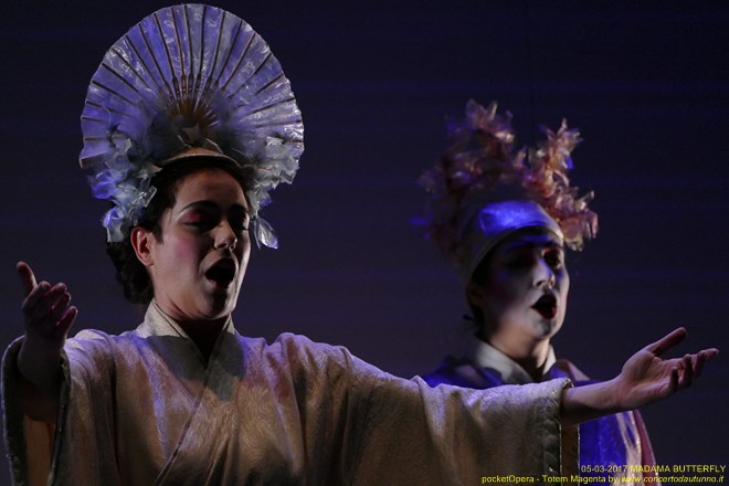 Magenta 2017 Totem Butterfly pocketOpera
