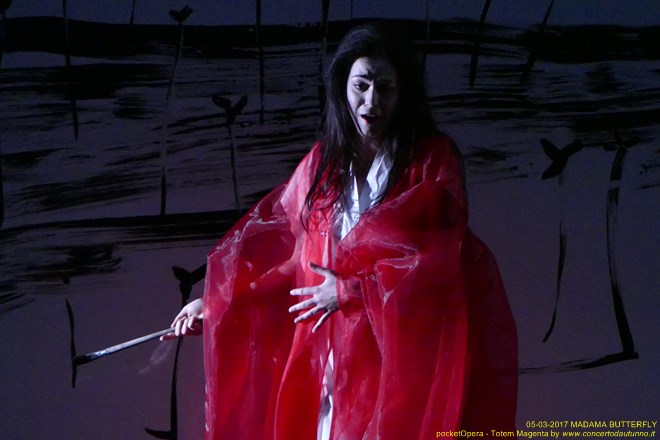 Magenta 2017 Totem Butterfly pocketOpera