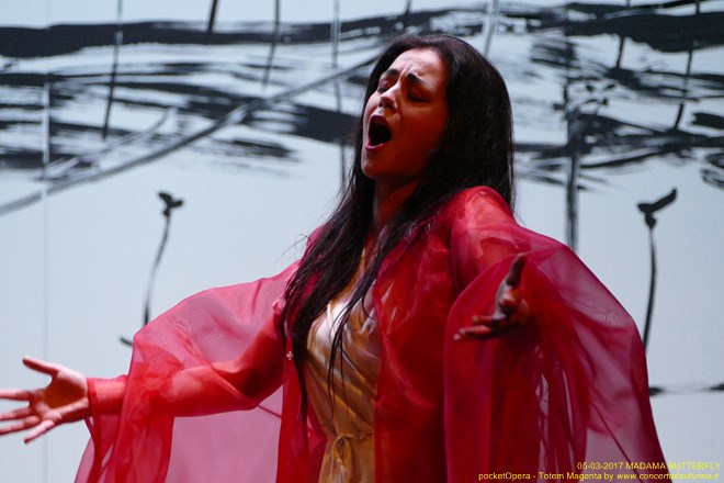 Magenta 2017 Totem Butterfly pocketOpera
