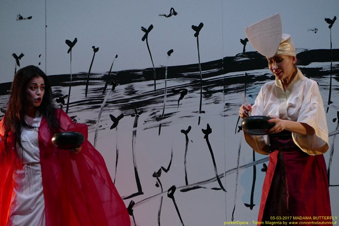 Magenta 2017 Totem Butterfly pocketOpera