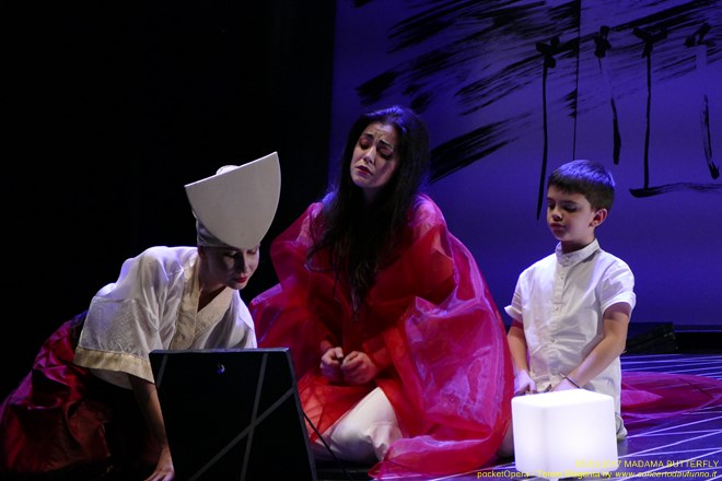 Magenta 2017 Totem Butterfly pocketOpera