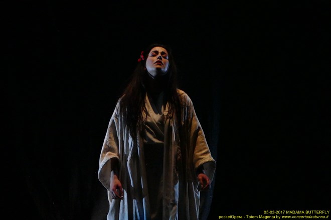 Magenta 2017 Totem Butterfly pocketOpera