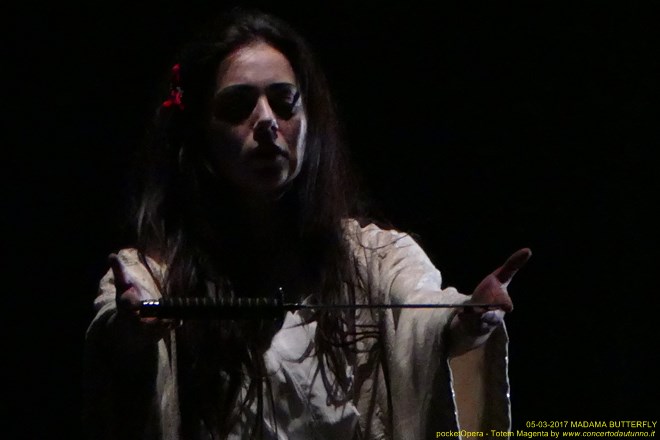 Magenta 2017 Totem Butterfly pocketOpera