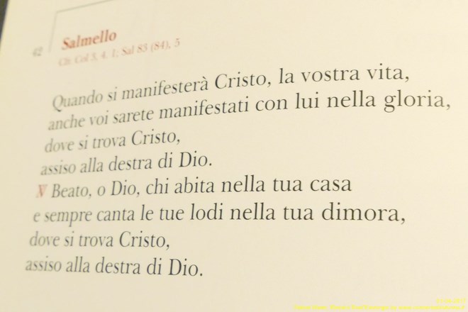 Orch.Coccia Sant'Eustorgio