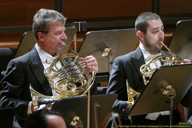 Pomeriggi Musicali Pavel Berman (Direttore) e Gennaro Cardaropoli (Violino)