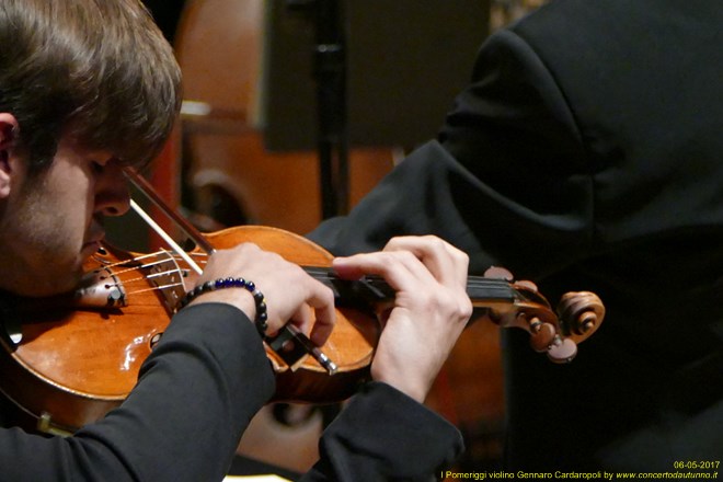 Pomeriggi Musicali Pavel Berman (Direttore) e Gennaro Cardaropoli (Violino)