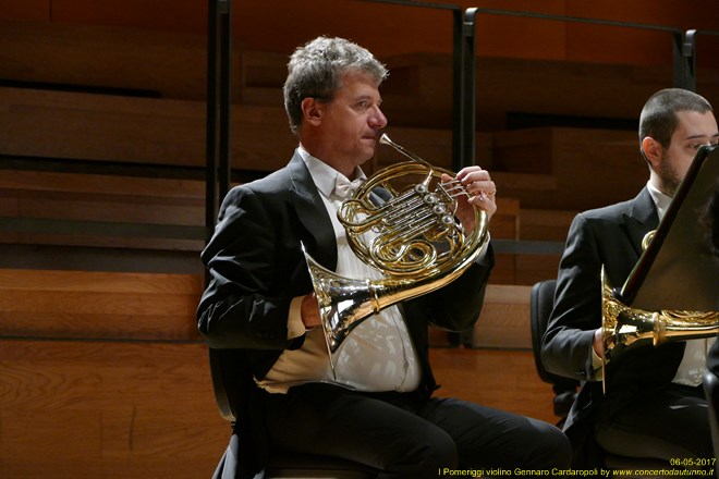 Pomeriggi Musicali Pavel Berman (Direttore) e Gennaro Cardaropoli (Violino)