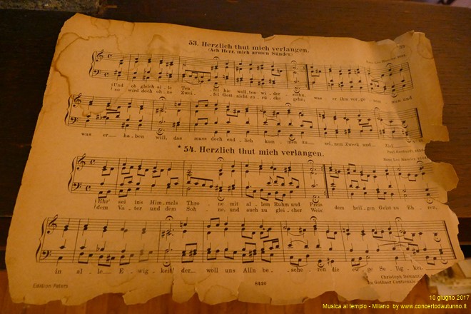 Musica al Tempio  Giulio Piovani, organo