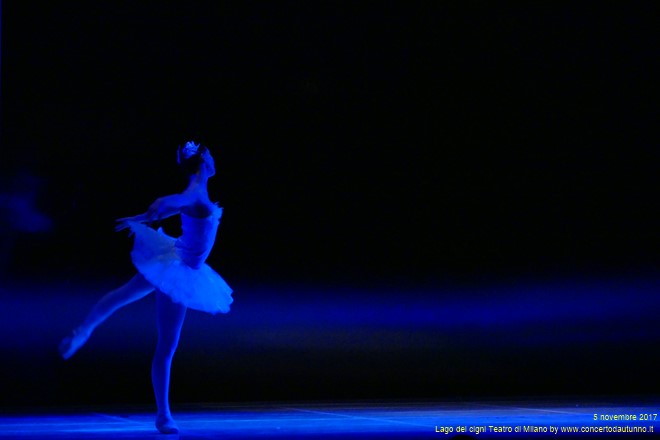 Teet Kask Lago dei Cigni Teatro di Milano