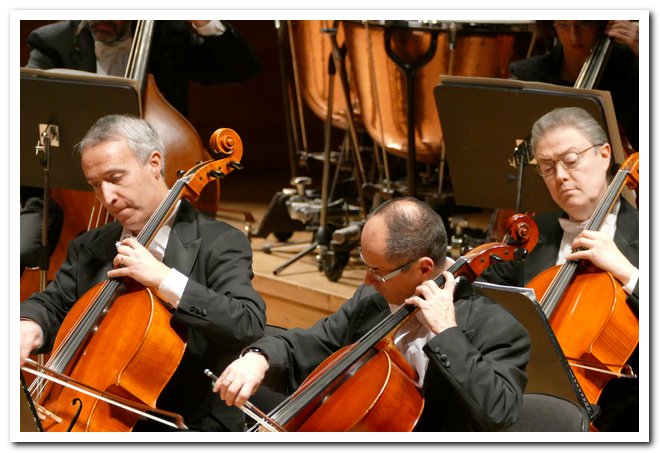 Pomeriggi Musicali Gianluca Capuano