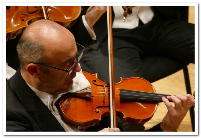 Pomeriggi Musicali Gianluca Capuano