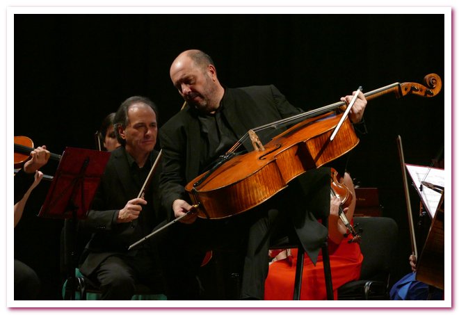 Solisti Pavia Dindo Rubino