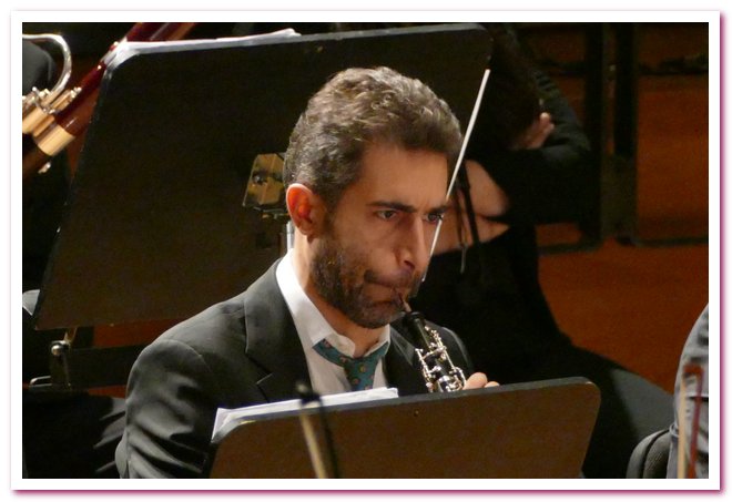 Pomeriggi Musicali Giancarlo Rizzi