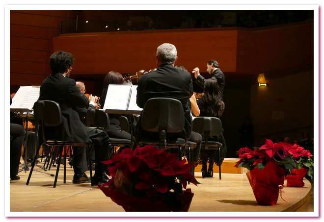 Pomeriggi Musicali Giancarlo Rizzi