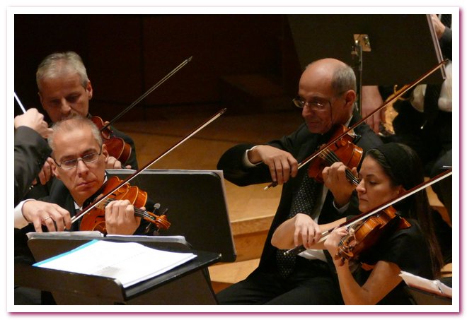 Pomeriggi Musicali Giancarlo Rizzi