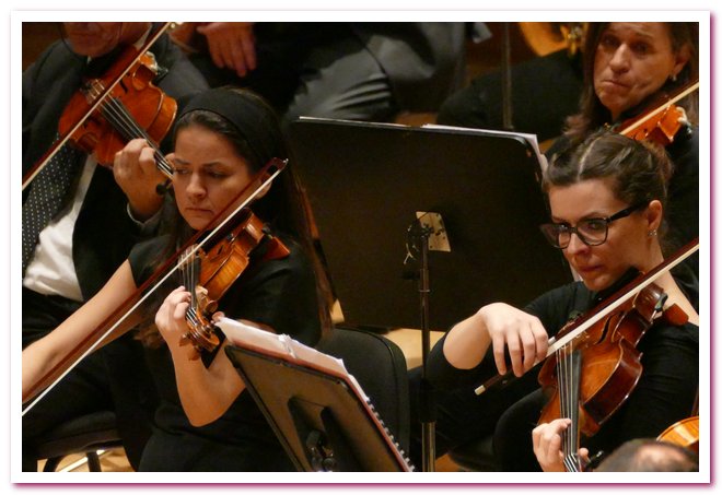 Pomeriggi Musicali Giancarlo Rizzi