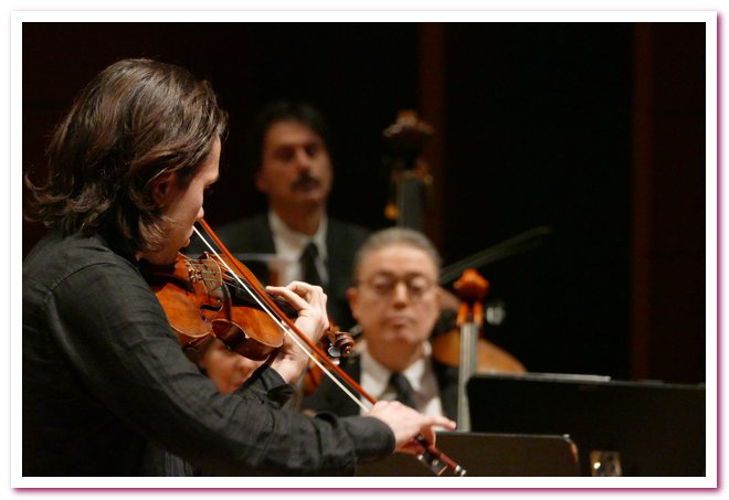 Pomeriggi Musicali Giancarlo Rizzi