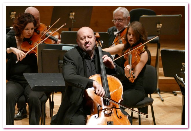 Pomeriggi Musicali Enrico Dindo