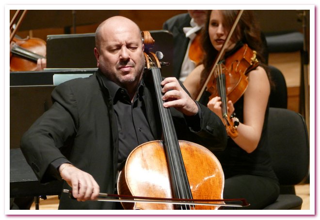 Pomeriggi Musicali Enrico Dindo