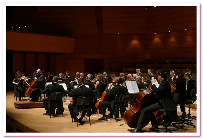 Pomeriggi Musicali Enrico Dindo