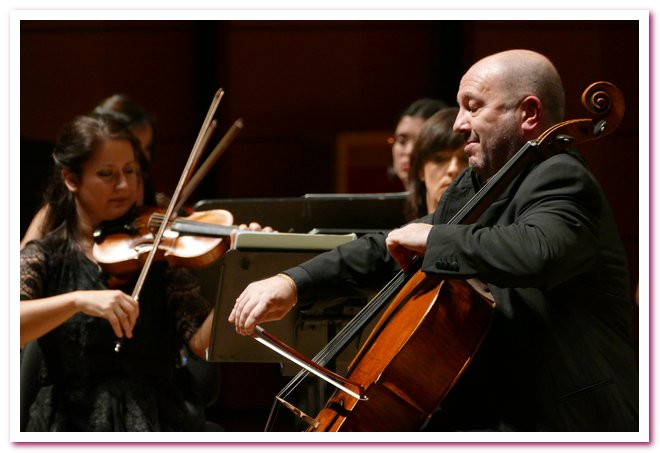Pomeriggi Musicali Enrico Dindo