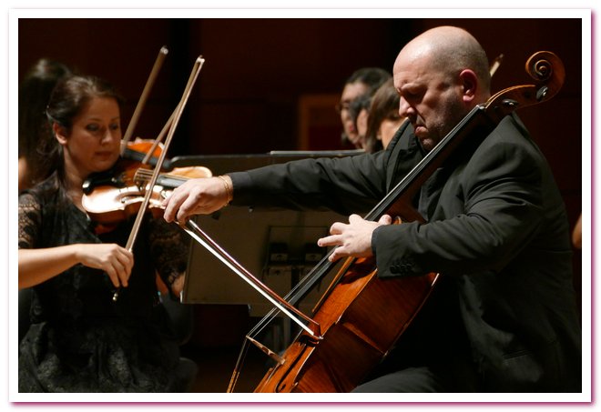 Pomeriggi Musicali Enrico Dindo
