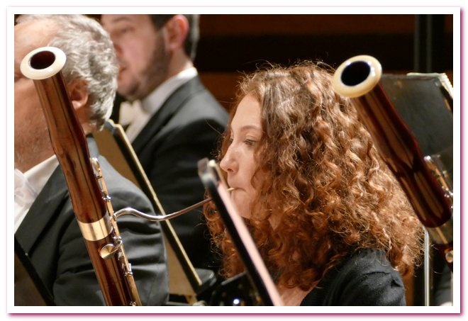 Pomeriggi Musicali Enrico Dindo