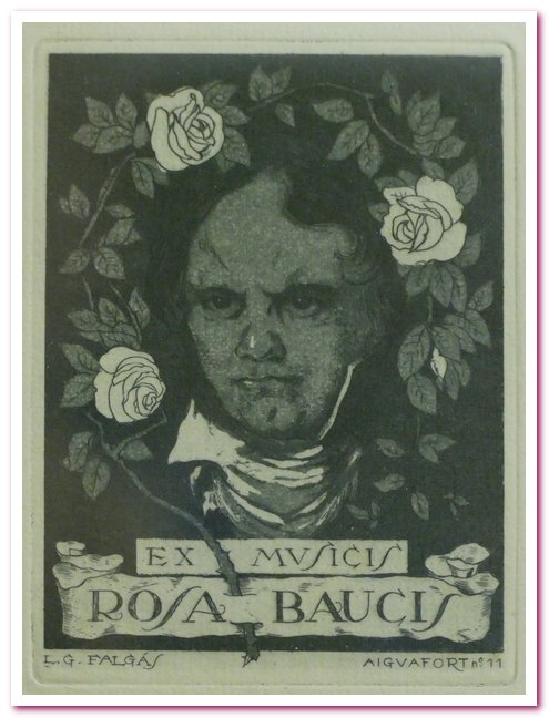 laVerdi Carte da musica