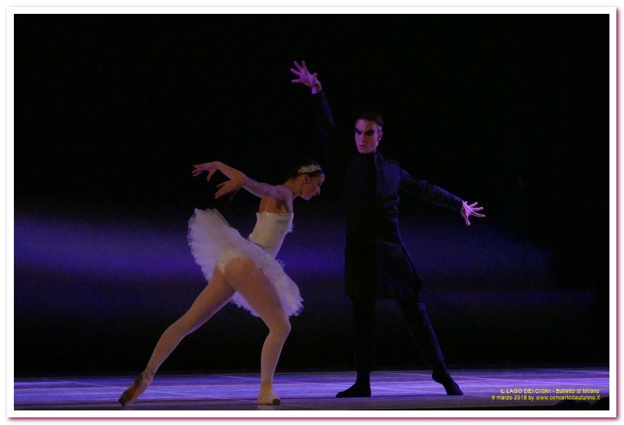 Balletto di Milano LAGO DEI CIGNI