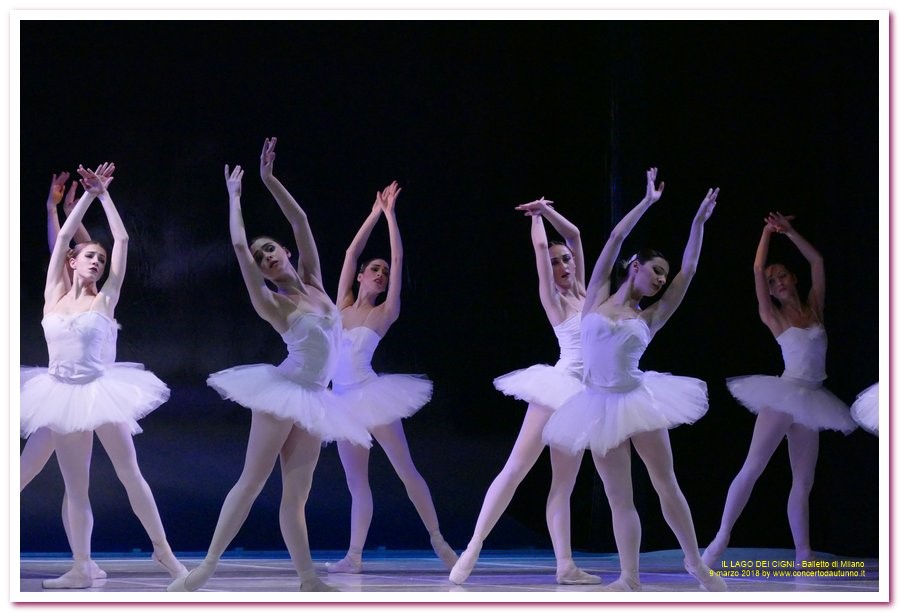 Balletto di Milano LAGO DEI CIGNI