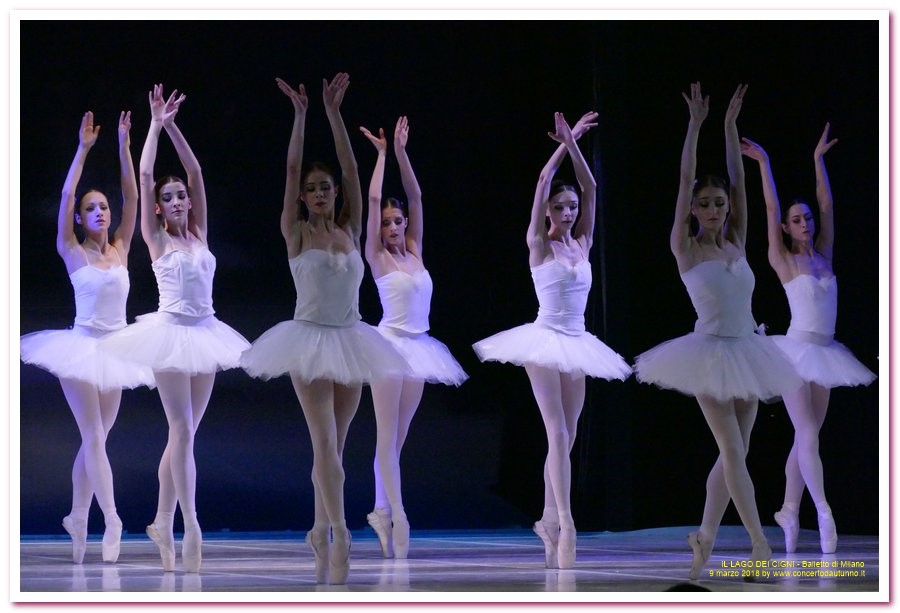 Balletto di Milano LAGO DEI CIGNI