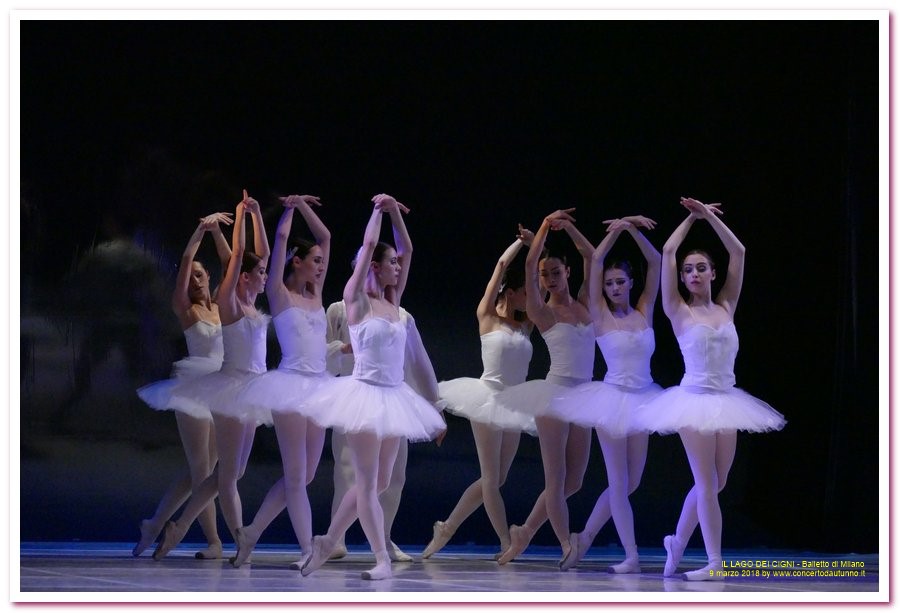 Balletto di Milano LAGO DEI CIGNI