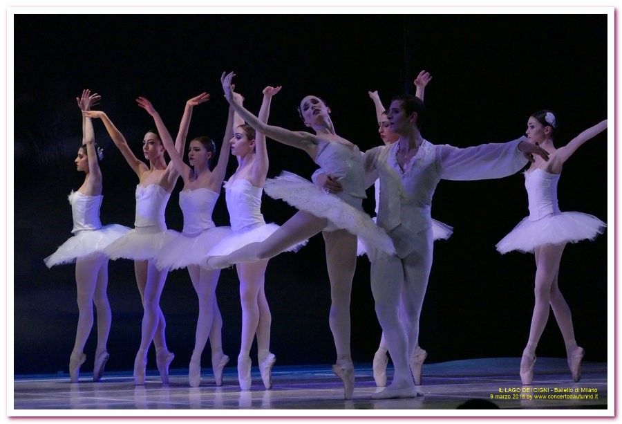 Balletto di Milano LAGO DEI CIGNI