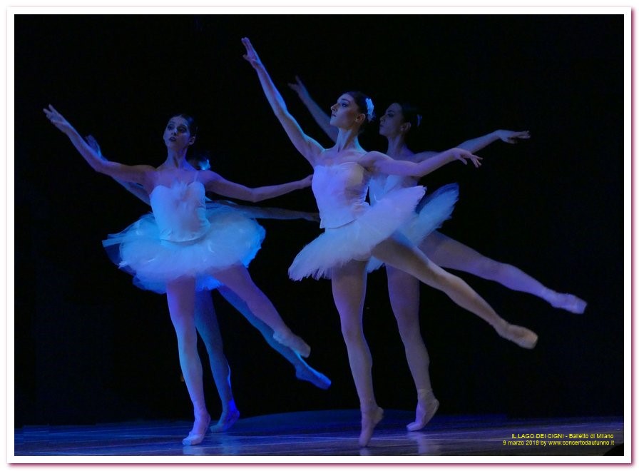 Balletto di Milano LAGO DEI CIGNI