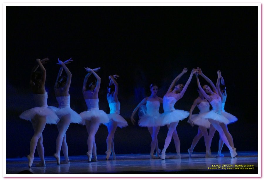 Balletto di Milano LAGO DEI CIGNI