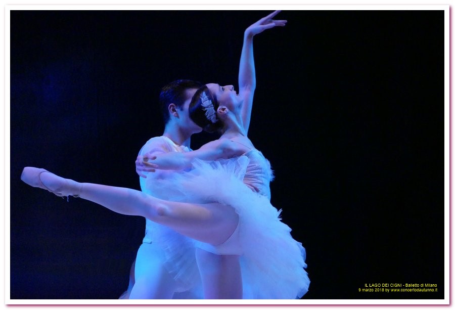 Balletto di Milano LAGO DEI CIGNI