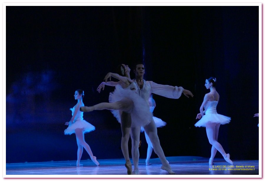 Balletto di Milano LAGO DEI CIGNI