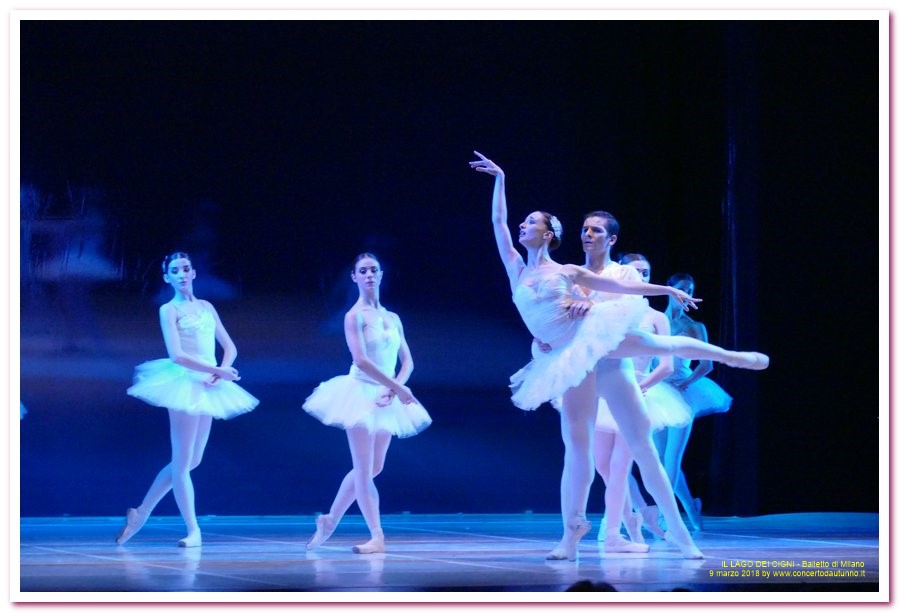 Balletto di Milano LAGO DEI CIGNI