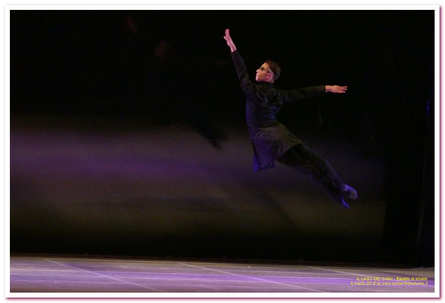 Balletto di Milano LAGO DEI CIGNI