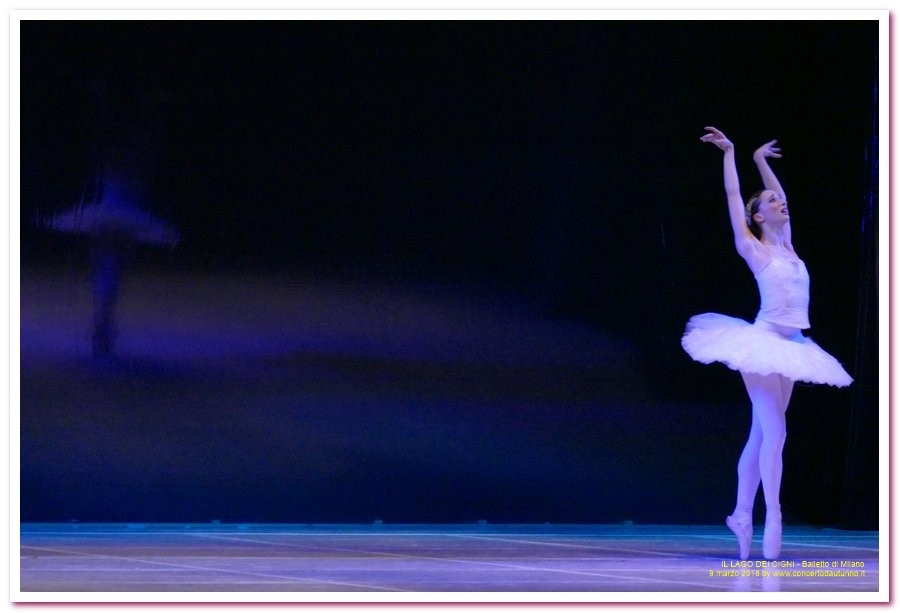 Balletto di Milano LAGO DEI CIGNI