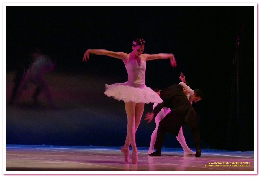 Balletto di Milano LAGO DEI CIGNI