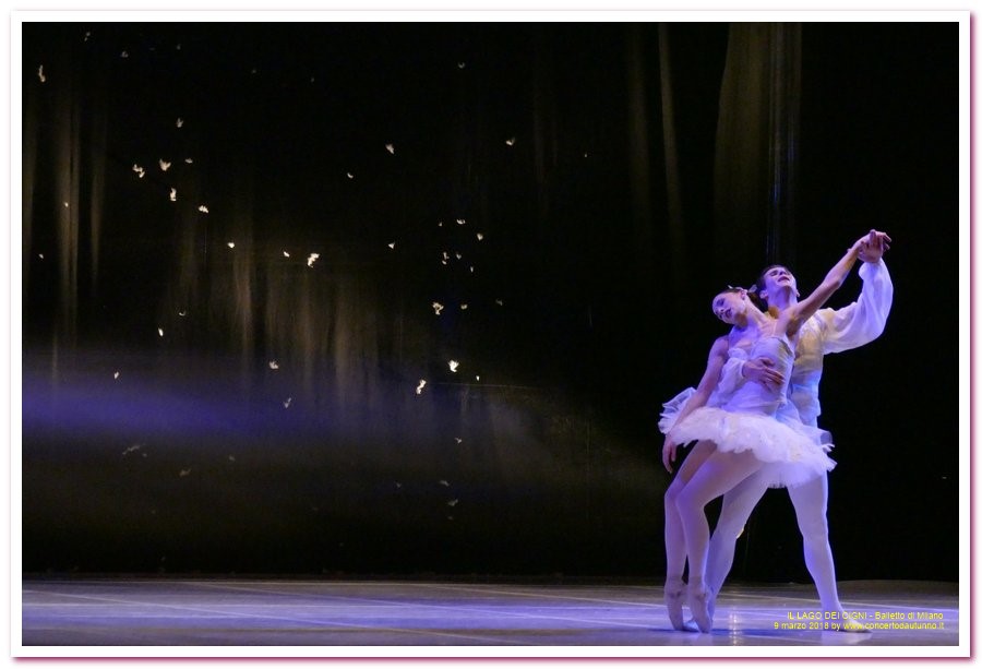 Balletto di Milano LAGO DEI CIGNI