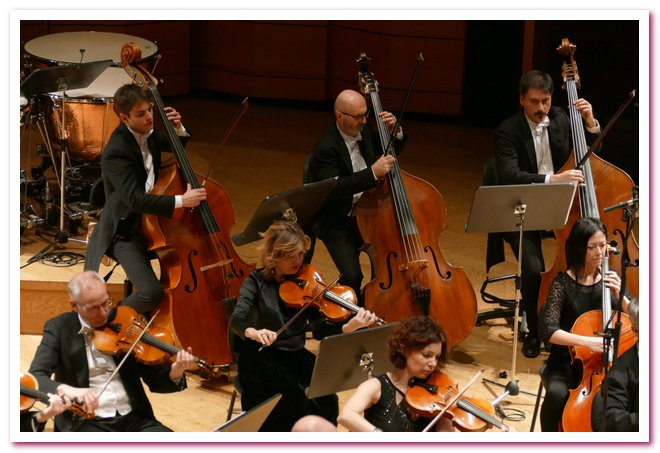 Pomeriggi Musicali Francesca Dego